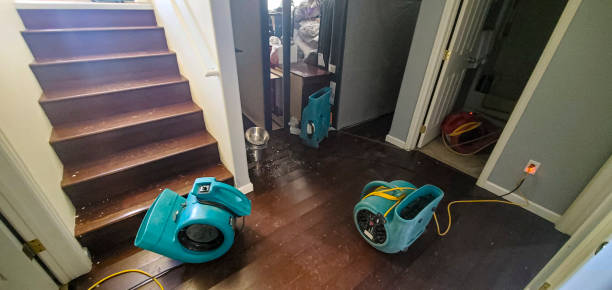 Best Local water damage restoration  in Cattaraugus, NY