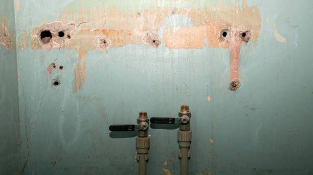 Best Sewage cleanup and water damage restoration  in Cattaraugus, NY
